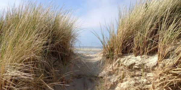 In verbinding met je gezin 600 x 400 px