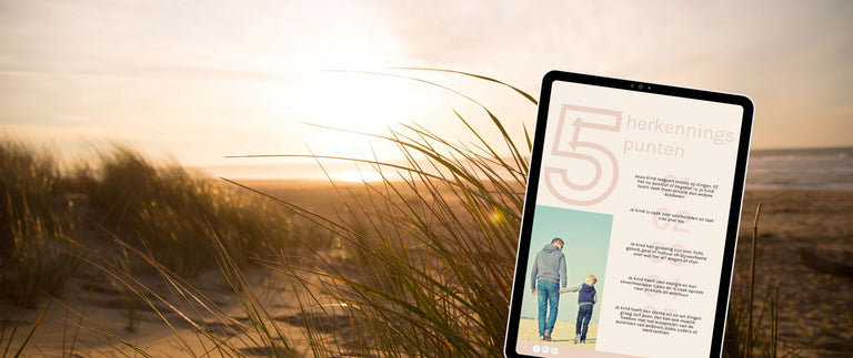 Ebook / Temperamentvolle kinderen een gids voor jou als ouder om grip te vinden op je kind met een sterk karakter