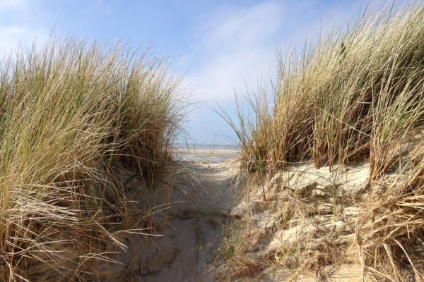 In verbinding met je gezin 600 x 400 px