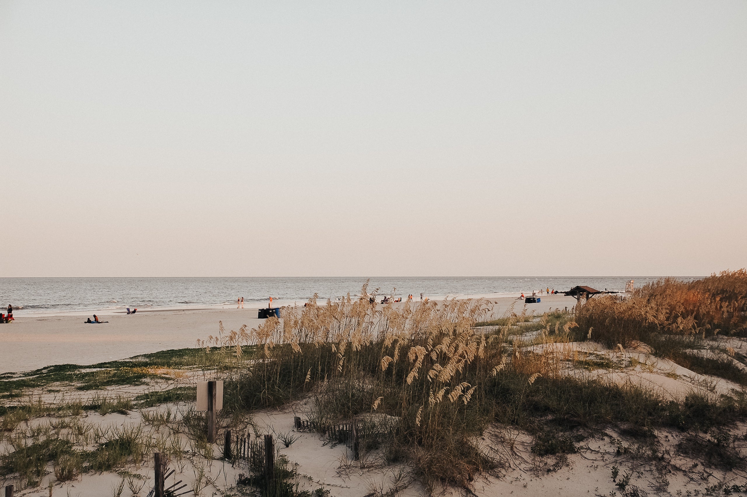 Tall grass near sandy beach