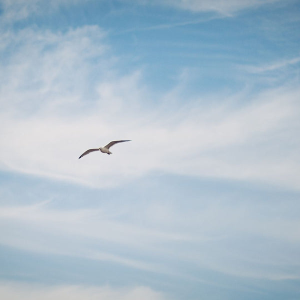 Verbinding zit in de lucht - Basis